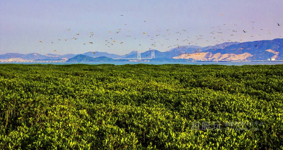 廈門五緣灣帆船港游艇租賃 廈門五緣灣帆船港游艇租賃