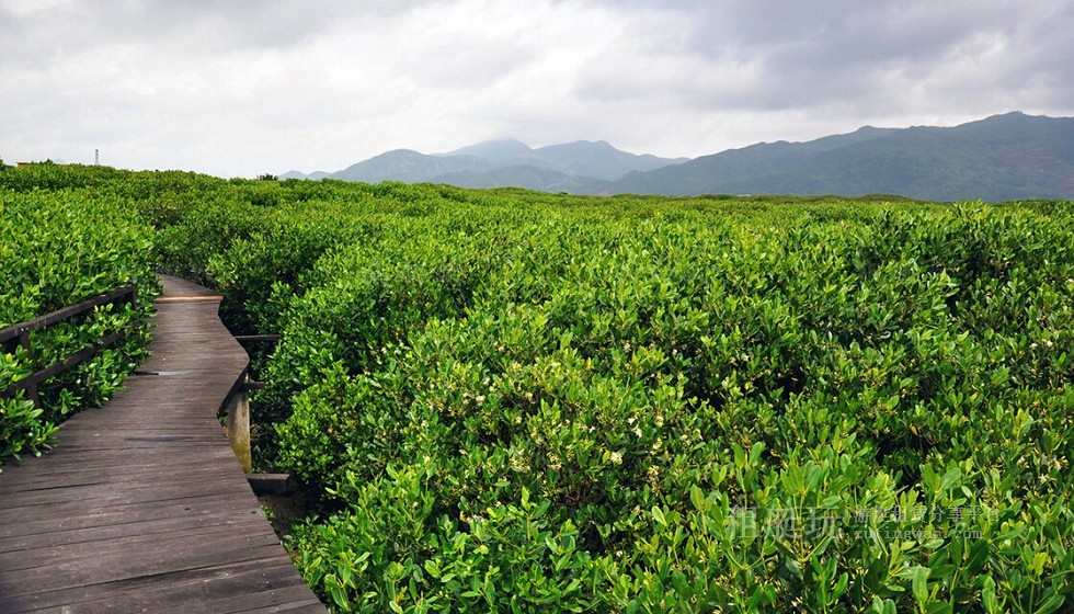 廈門五緣灣帆船港游艇租賃 廈門五緣灣帆船港游艇租賃