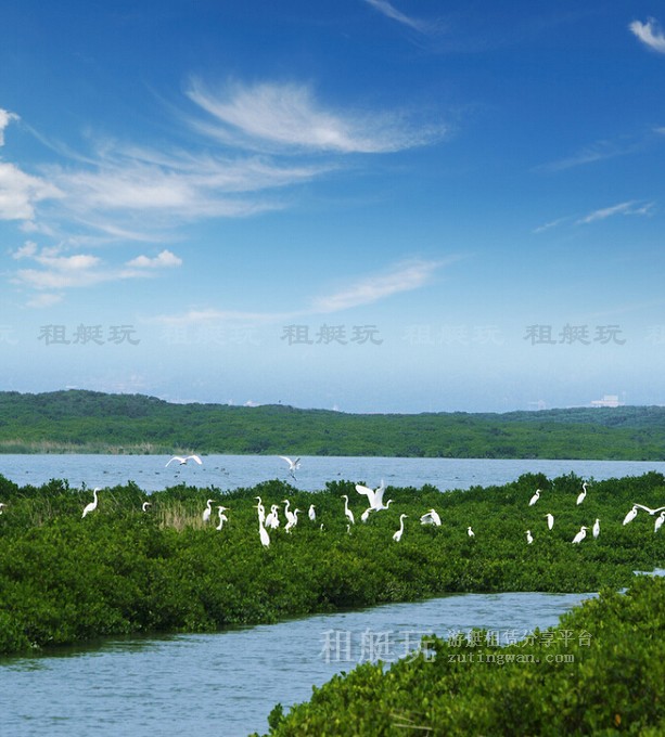 廈門五緣灣帆船港游艇租賃 廈門五緣灣帆船港游艇租賃